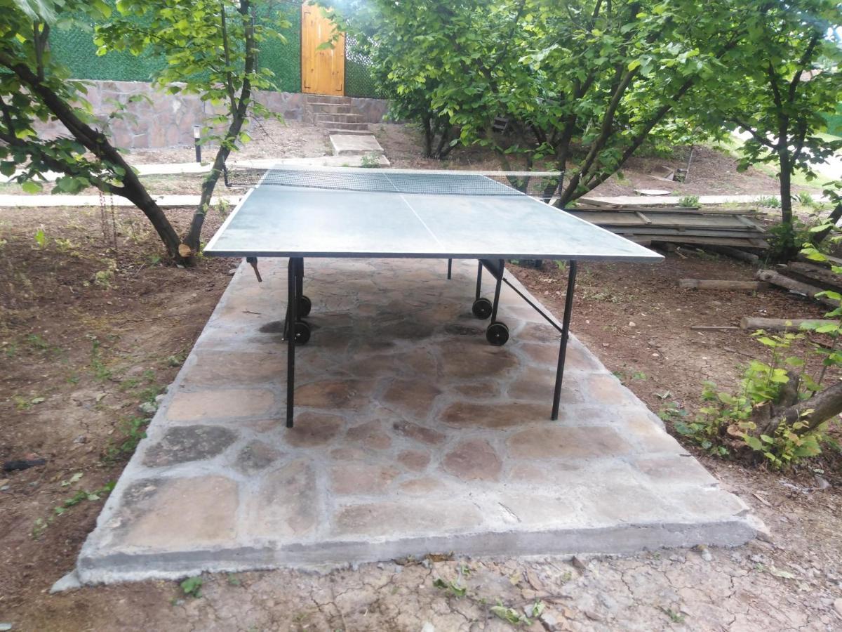 Vila Viktori Pirot Dış mekan fotoğraf