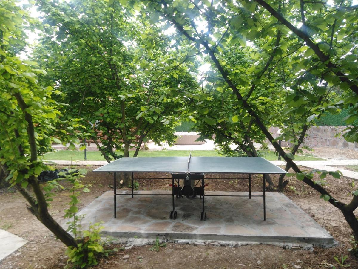 Vila Viktori Pirot Dış mekan fotoğraf