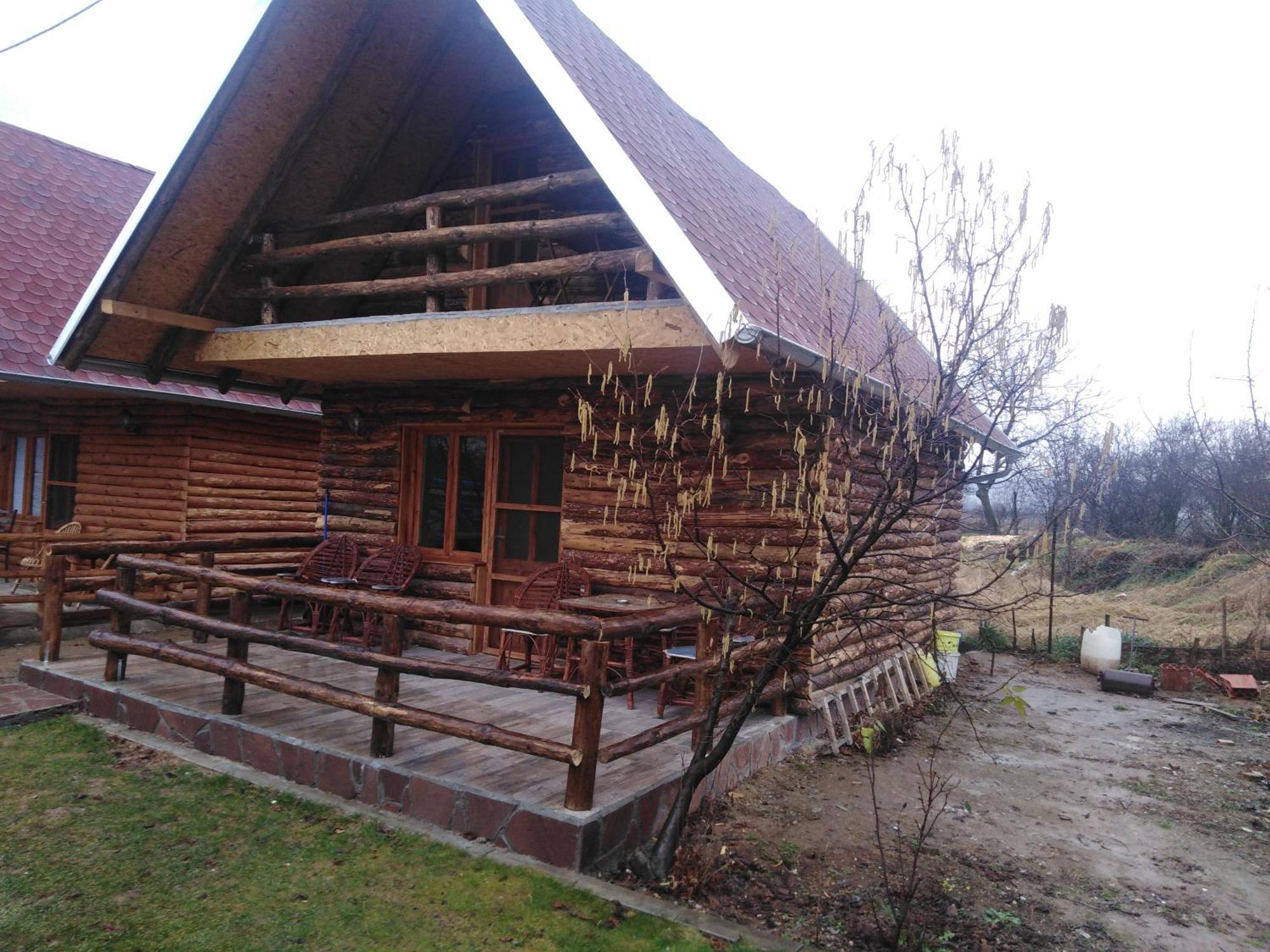Vila Viktori Pirot Oda fotoğraf