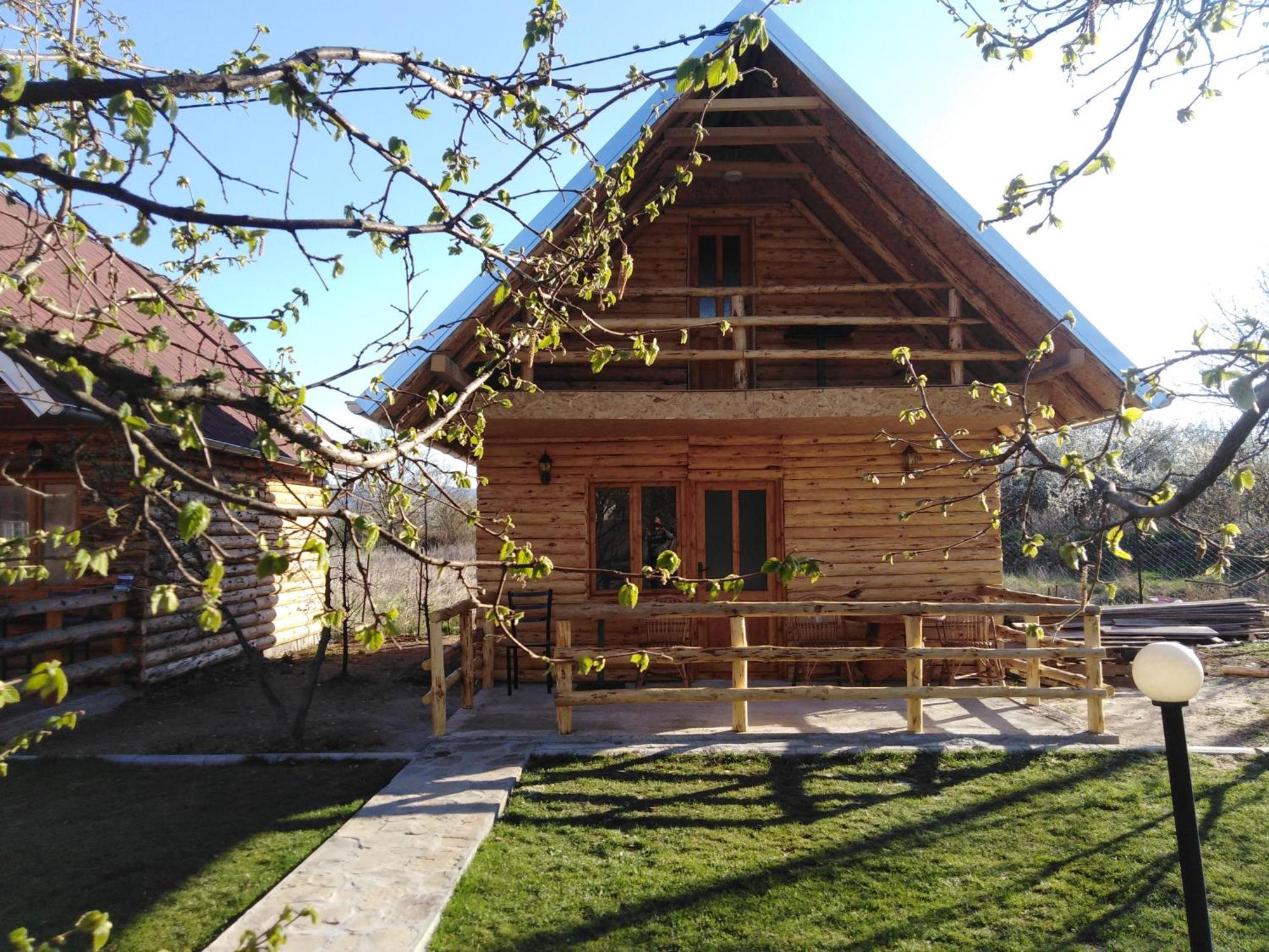 Vila Viktori Pirot Oda fotoğraf