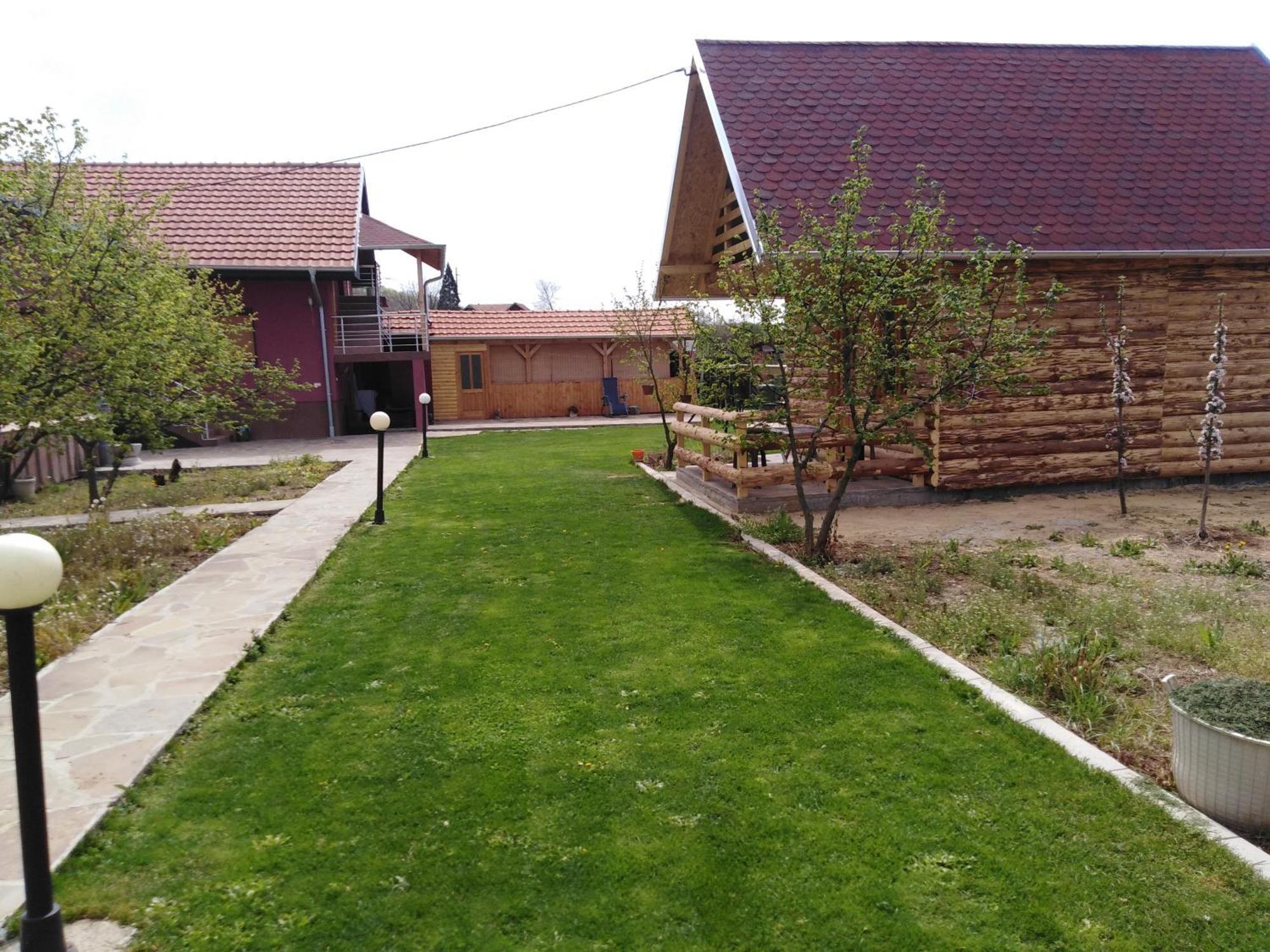 Vila Viktori Pirot Oda fotoğraf